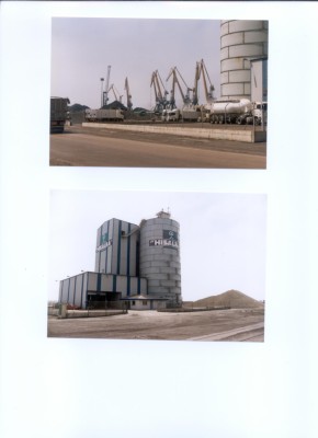 hoja4.jpg